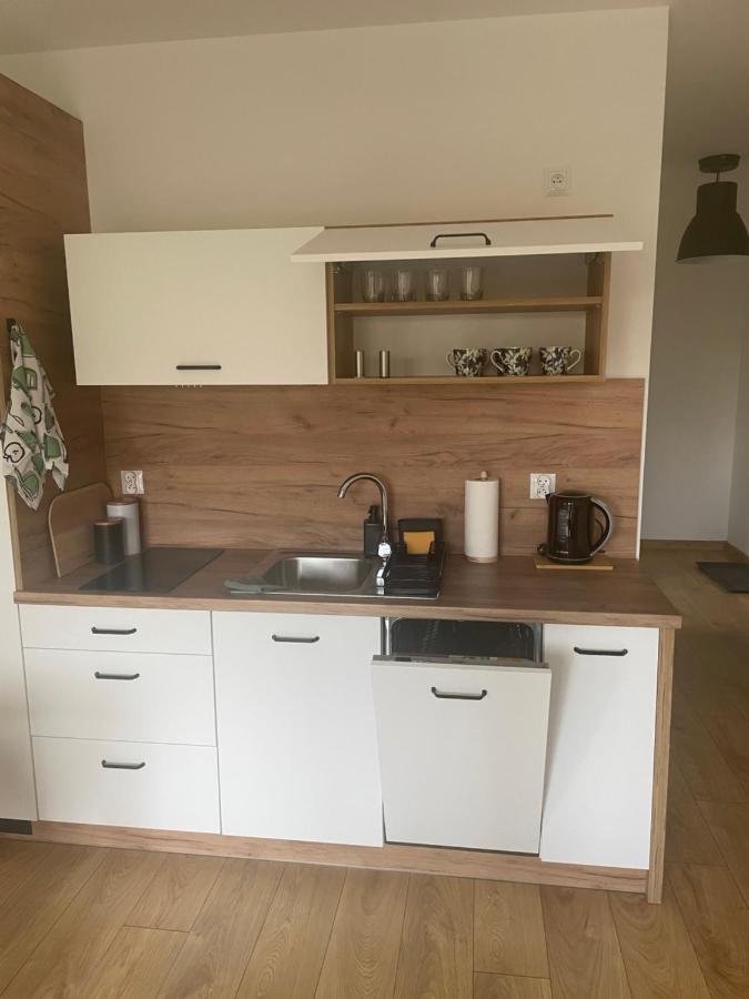 Apartament Kuba Na Spokojnej Wisła Exterior foto